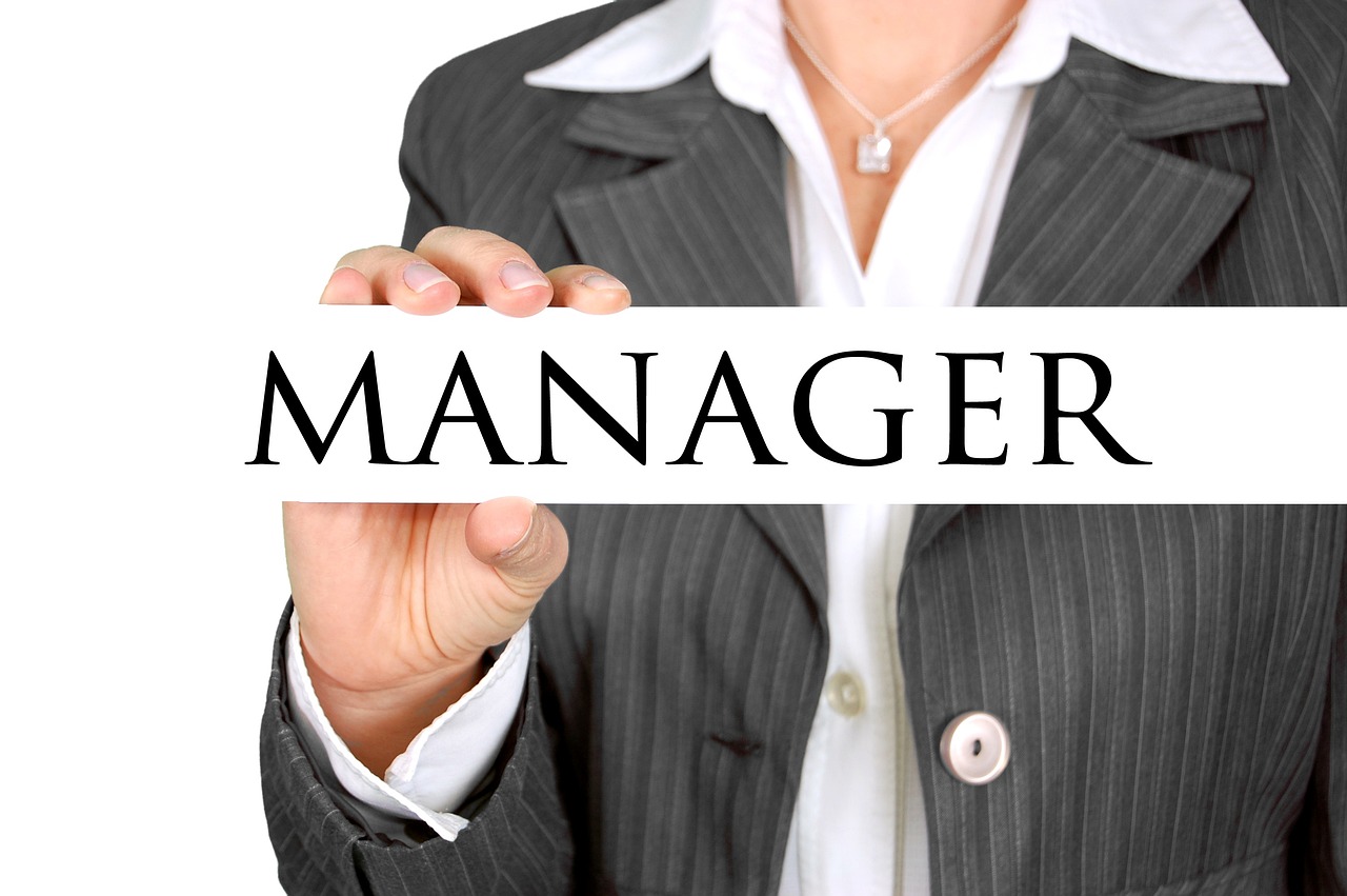 Manager Karriere